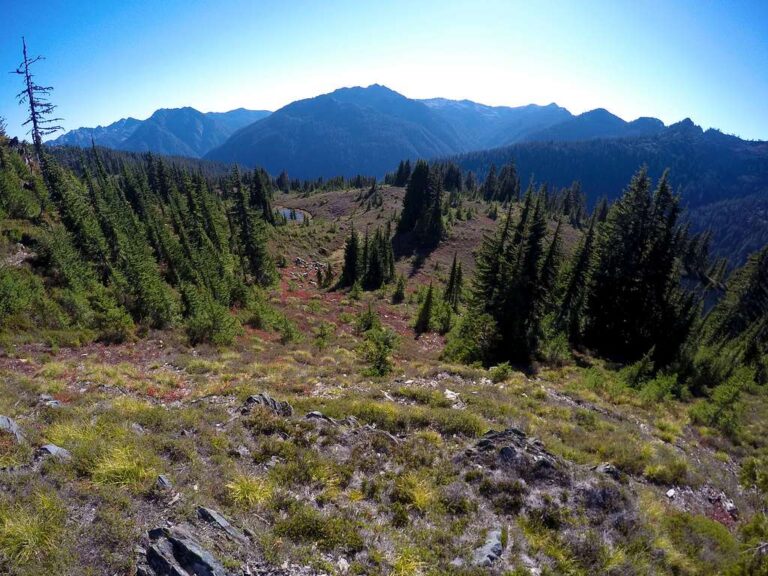 Exploring the Majestic Trails of Mount Rainier National Park: A Hiker’s Paradise